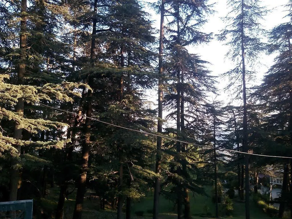 Torrentium Lodge Shimla 0*,  India